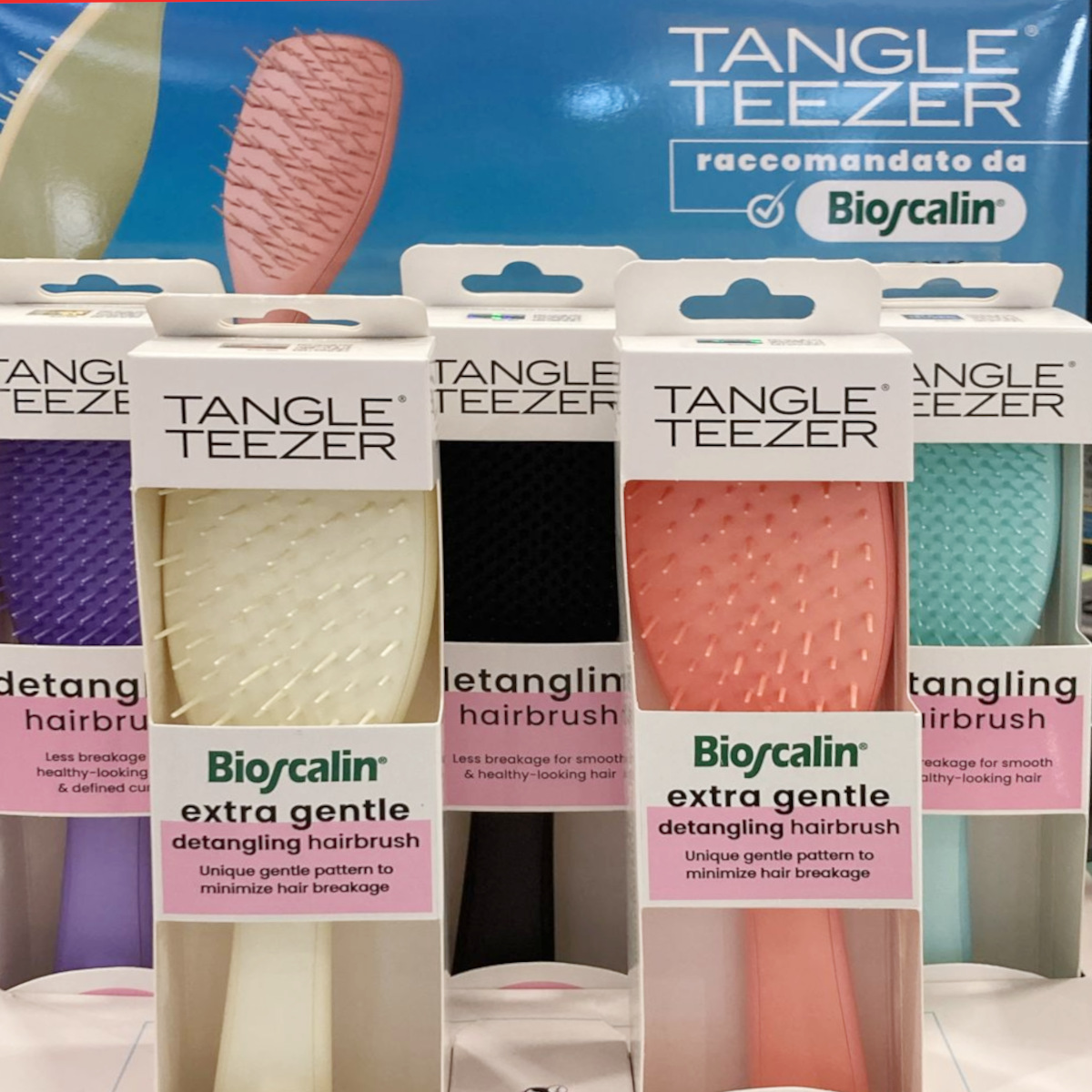 tangle1