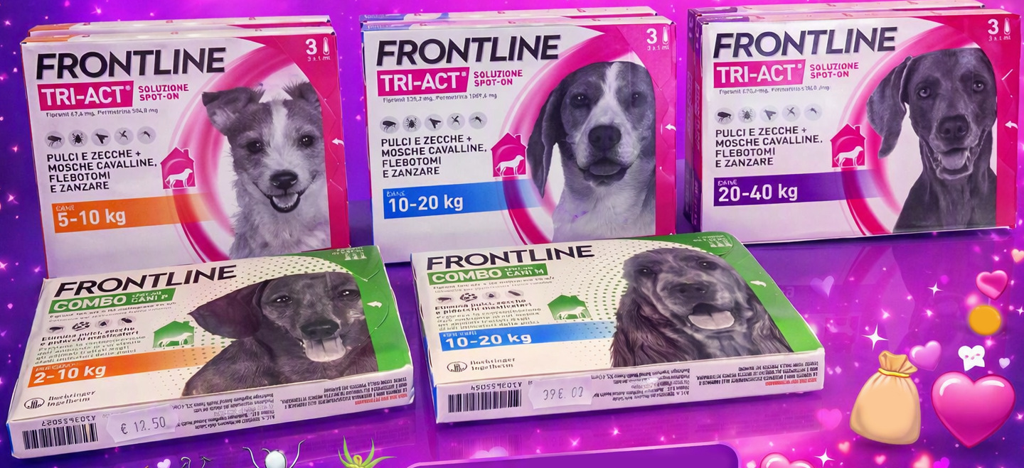 frontline